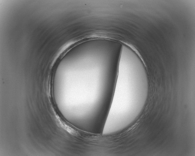 X0000080111131200612080948