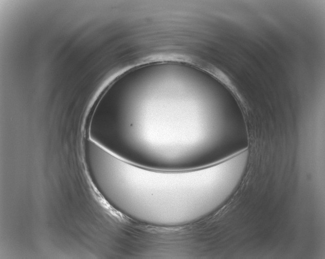 X0000080111140200612080948