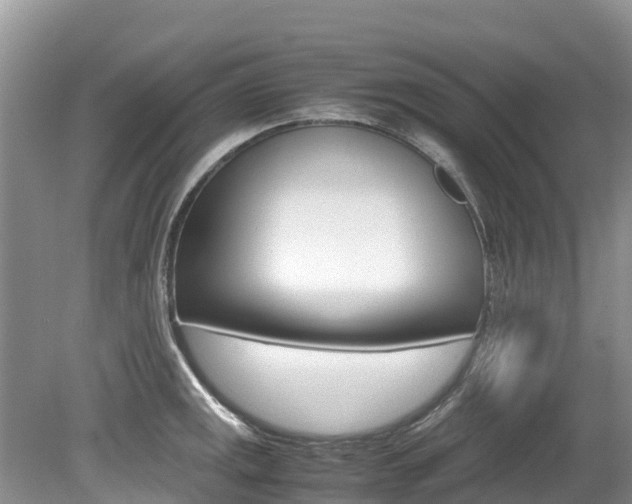 X0000080111141200612080948