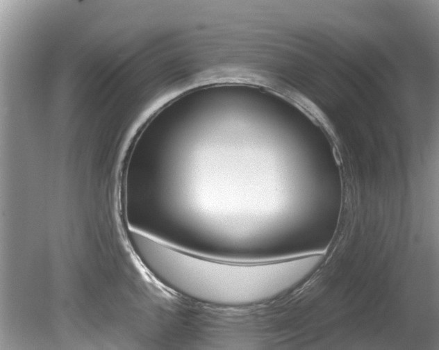 X0000080111144200612080948