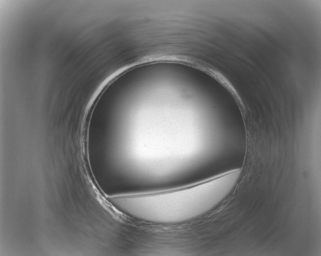 X0000080111148200612080948