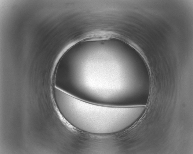 X0000080111152200612080949