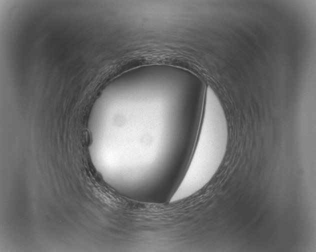 X0000080111153200612080948