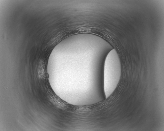 X0000080111154200612080948