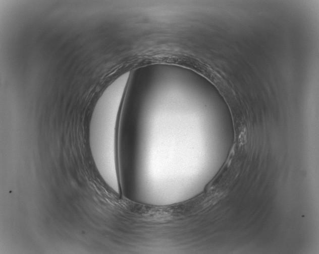 X0000080111156200612080948