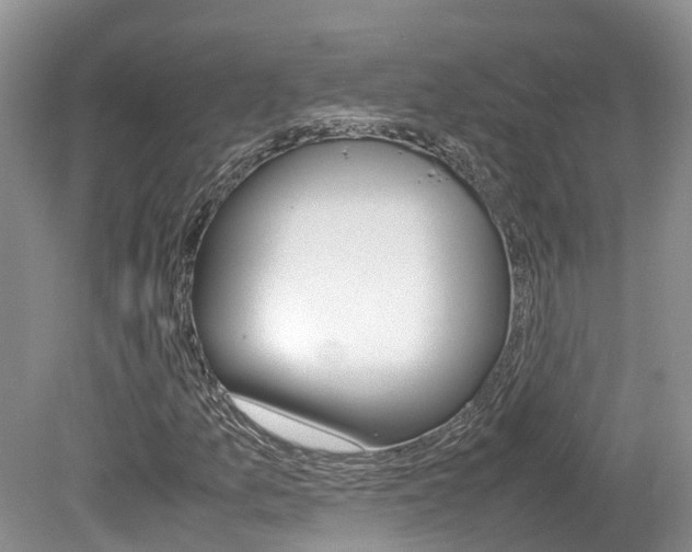 X0000080111157200612080948