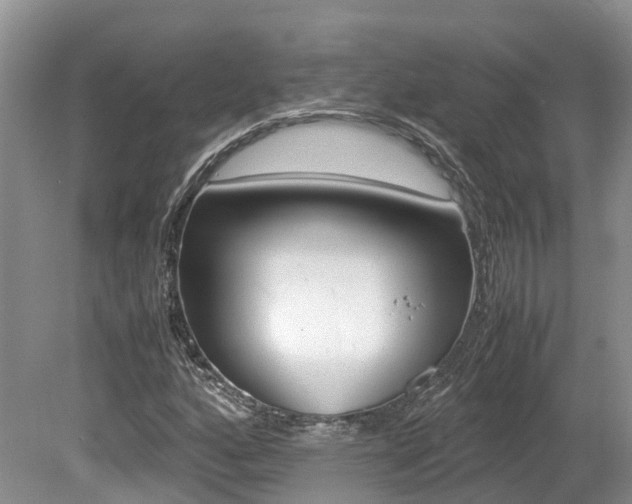 X0000080111160200612080948