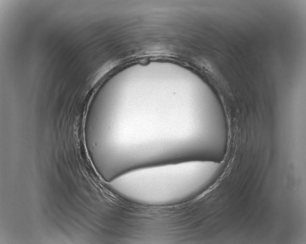 X0000080111162200612080948