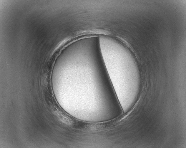 X0000080111163200612080948