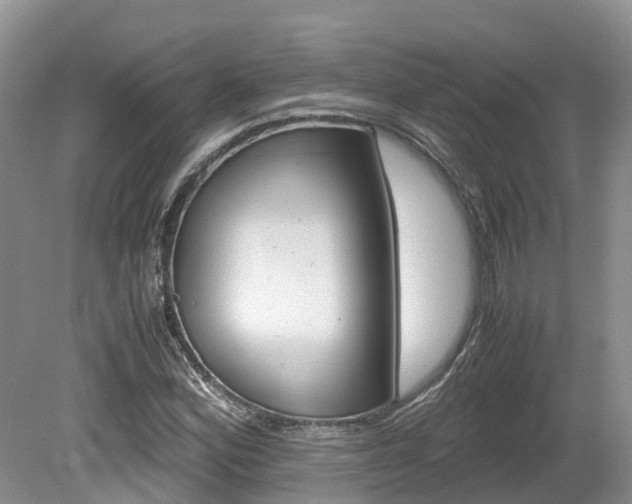 X0000080111164200612080948