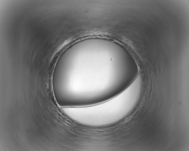 X0000080111165200612080948