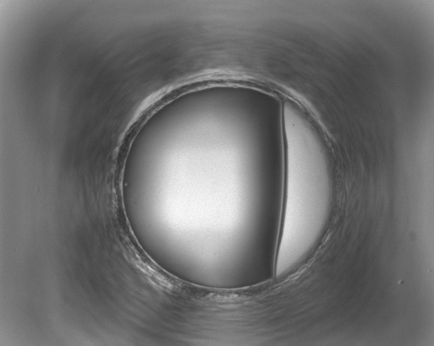 X0000080111168200612080947