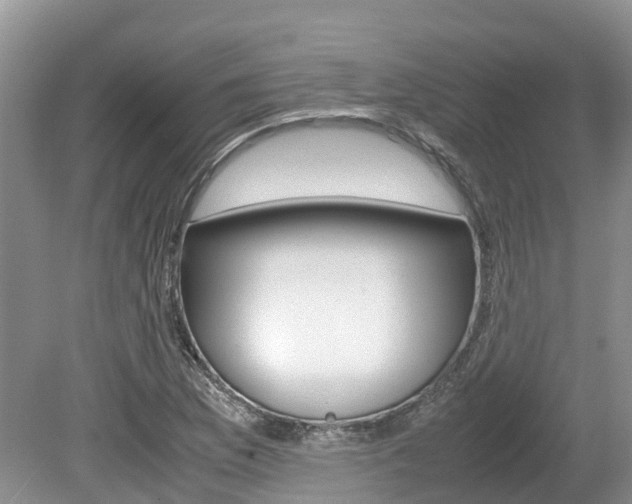 X0000080111169200612080947