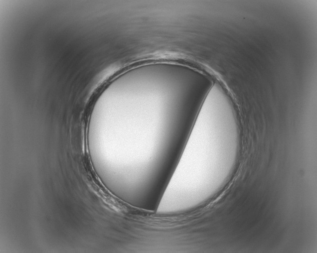 X0000080111171200612080947