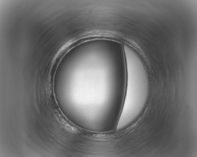 X0000080111172200612080947