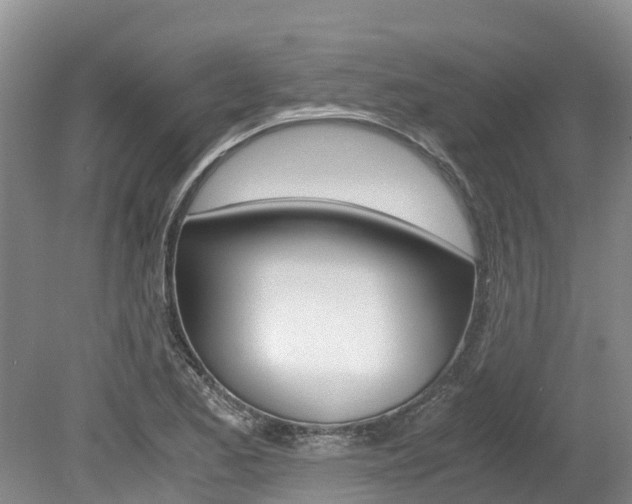 X0000080111173200612080947
