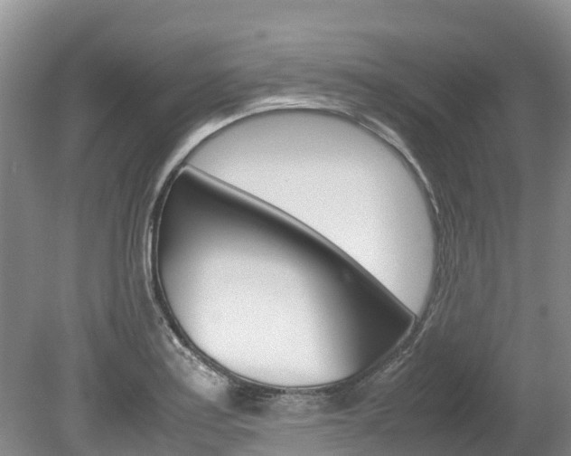 X0000080111179200612080947