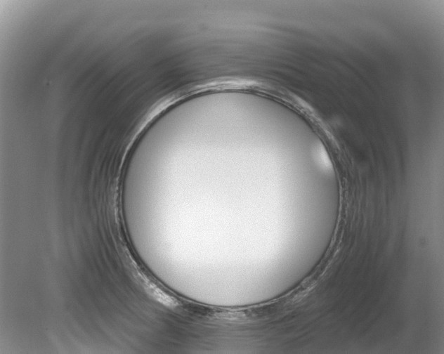 X0000080111186200612080947