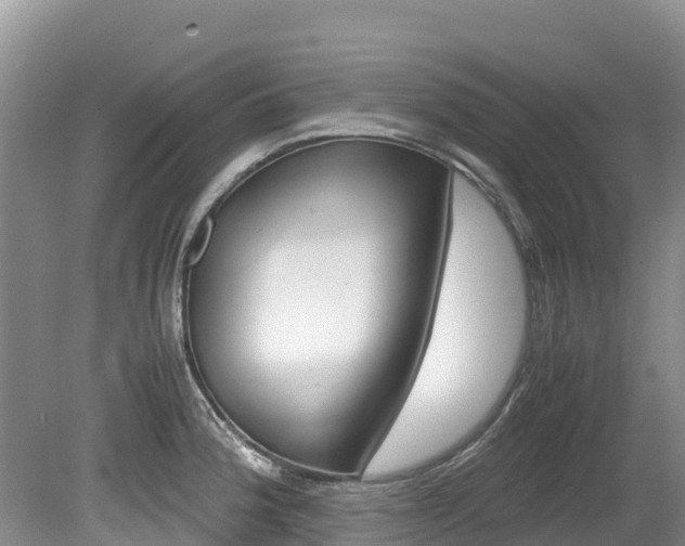 X0000080111188200612080947