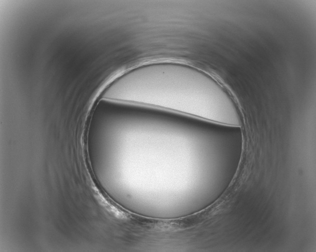 X0000080111189200612080947