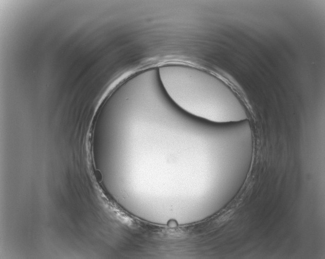 X0000080111190200612080947