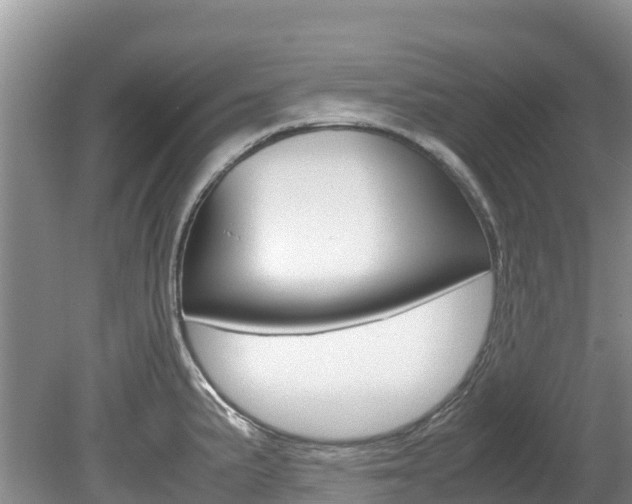 X0000080111191200612080947