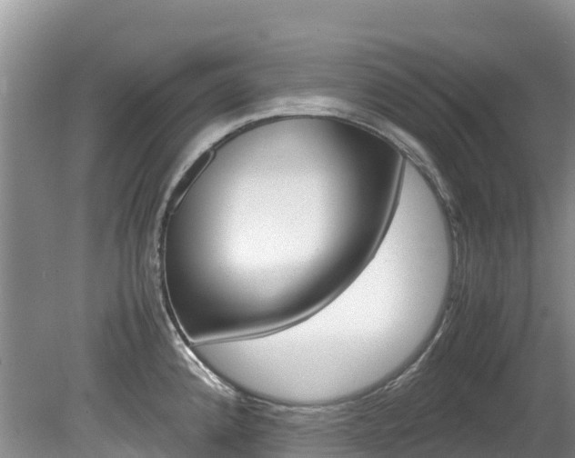 X0000080111192200612080947