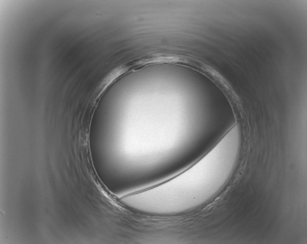 X0000080111193200612080947