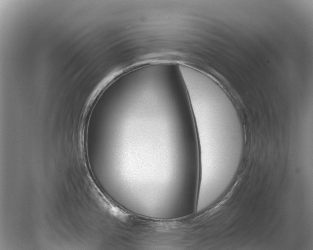 X0000080111196200612080947