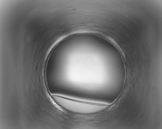 X0000080111197200612080947