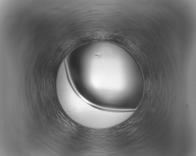 X0000080111202200612080946