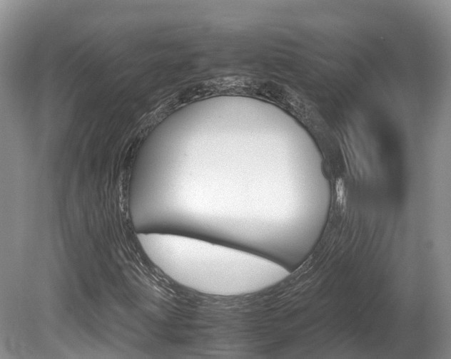X0000080111203200612080946
