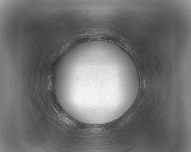 X0000080111204200612080946