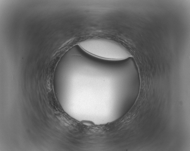 X0000080111205200612080946