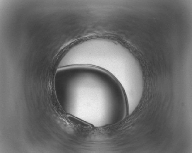 X0000080111206200612080946