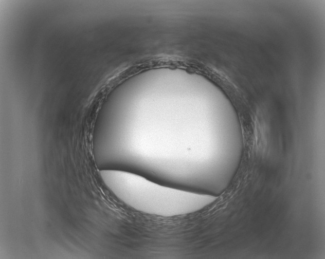 X0000080111207200612080946