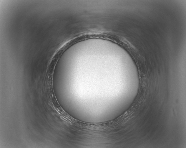 X0000080111208200612080946