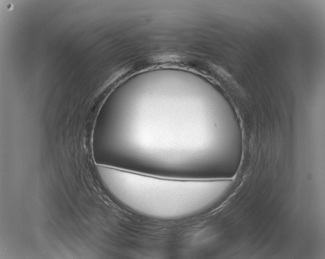 X0000080111209200612080946