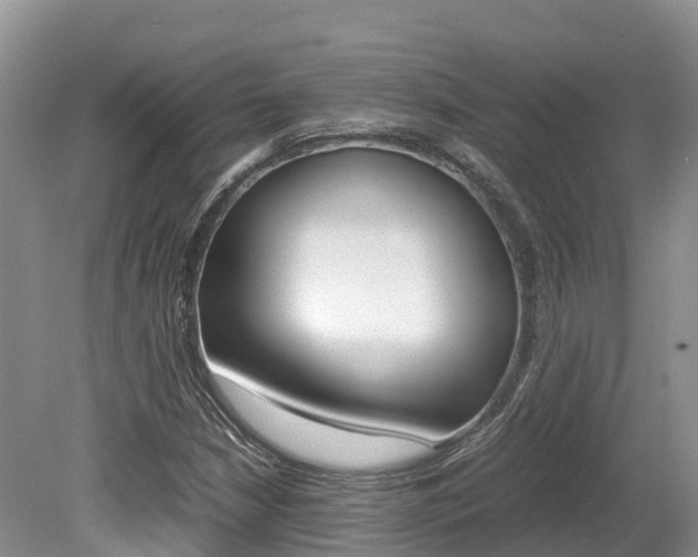 X0000080111210200612080946