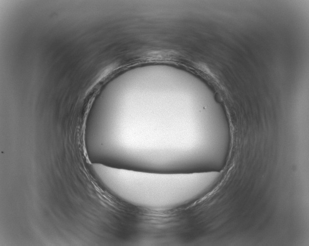 X0000080111211200612080946