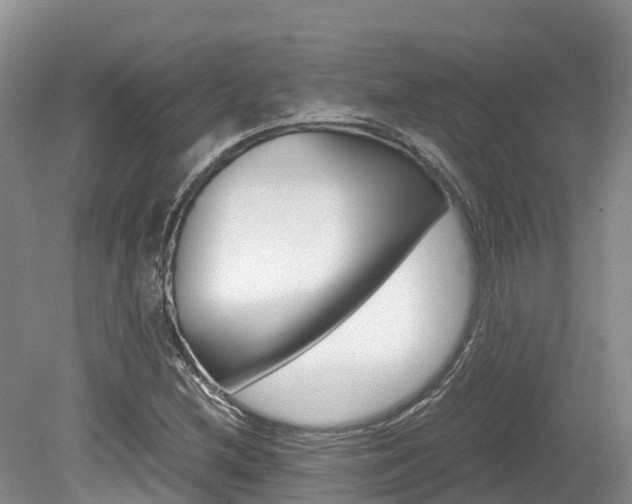 X0000080111212200612080946