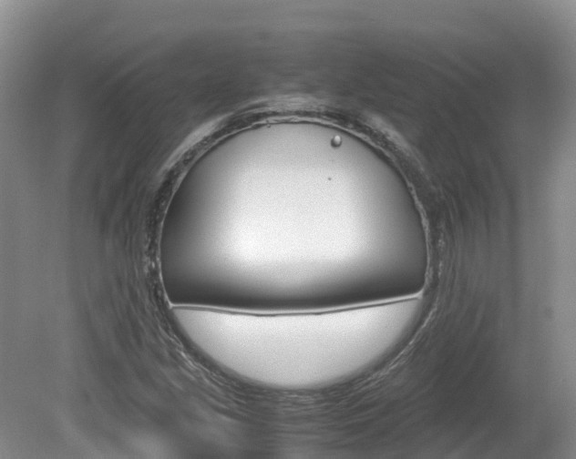 X0000080111213200612080946