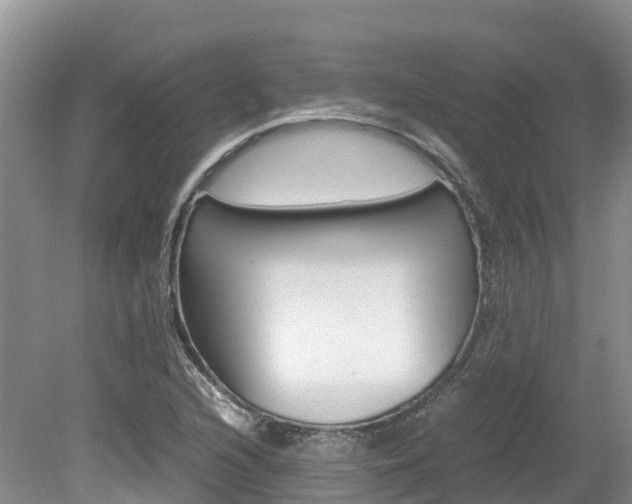 X0000080111216200612080946