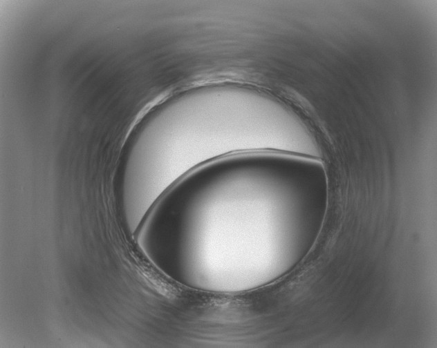 X0000080111218200612080946
