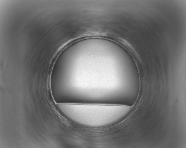 X0000080111220200612080946