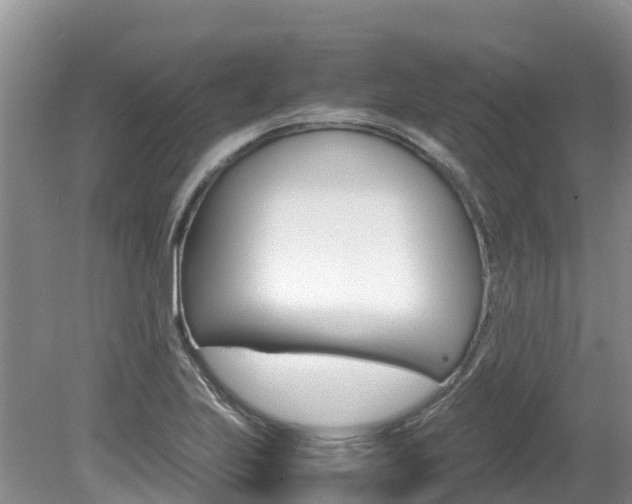 X0000080111223200612080946