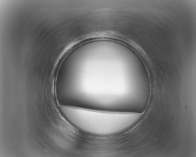X0000080111224200612080947
