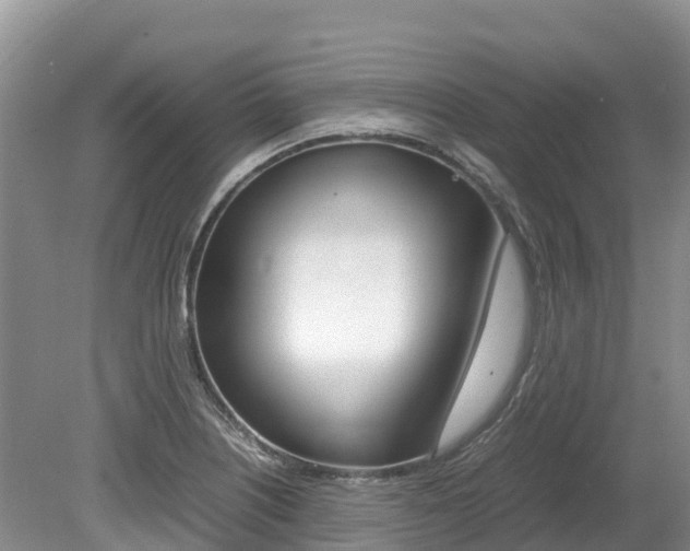 X0000080111226200612080947