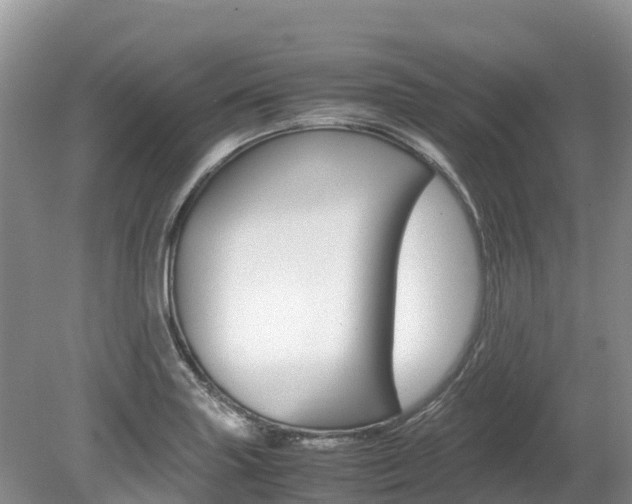 X0000080111227200612080947