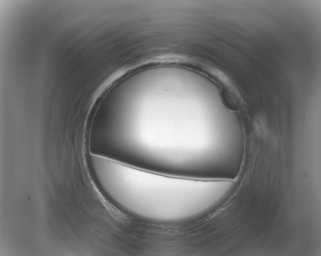 X0000080111229200612080947